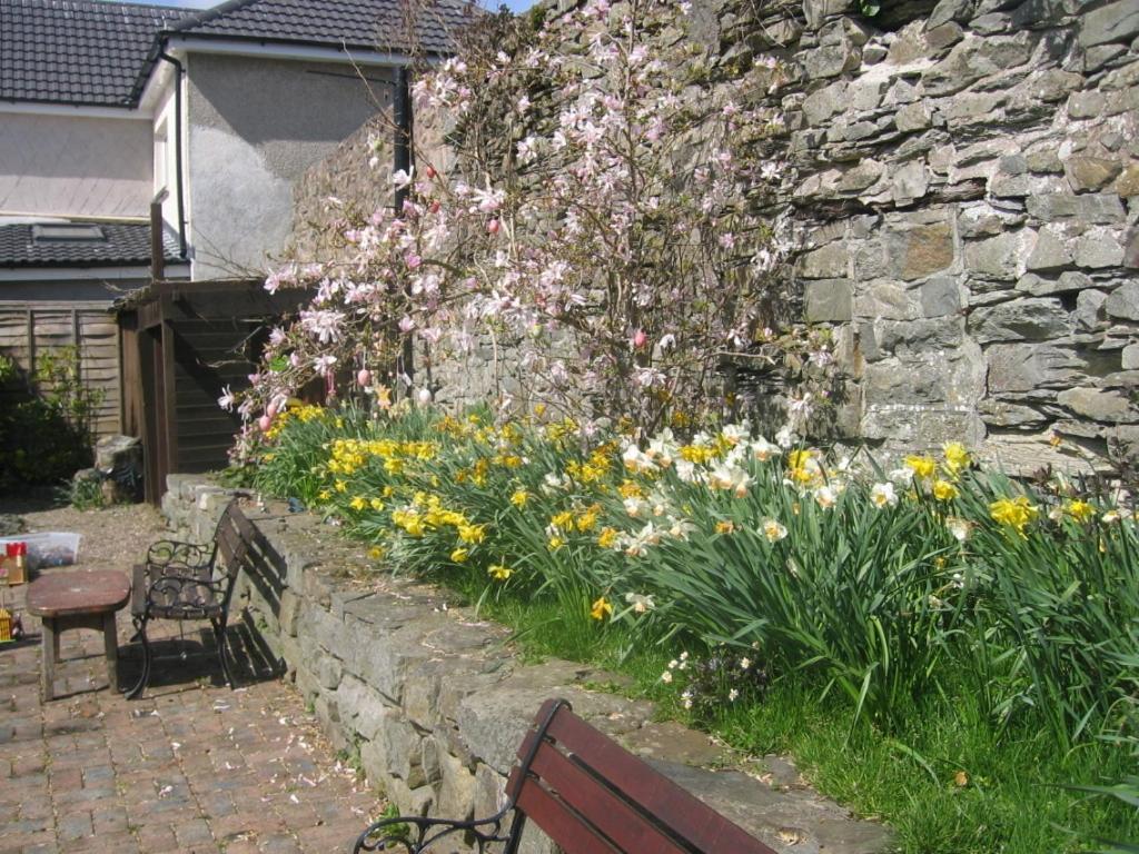 The Horseshoe Guesthouse Rhayader Extérieur photo