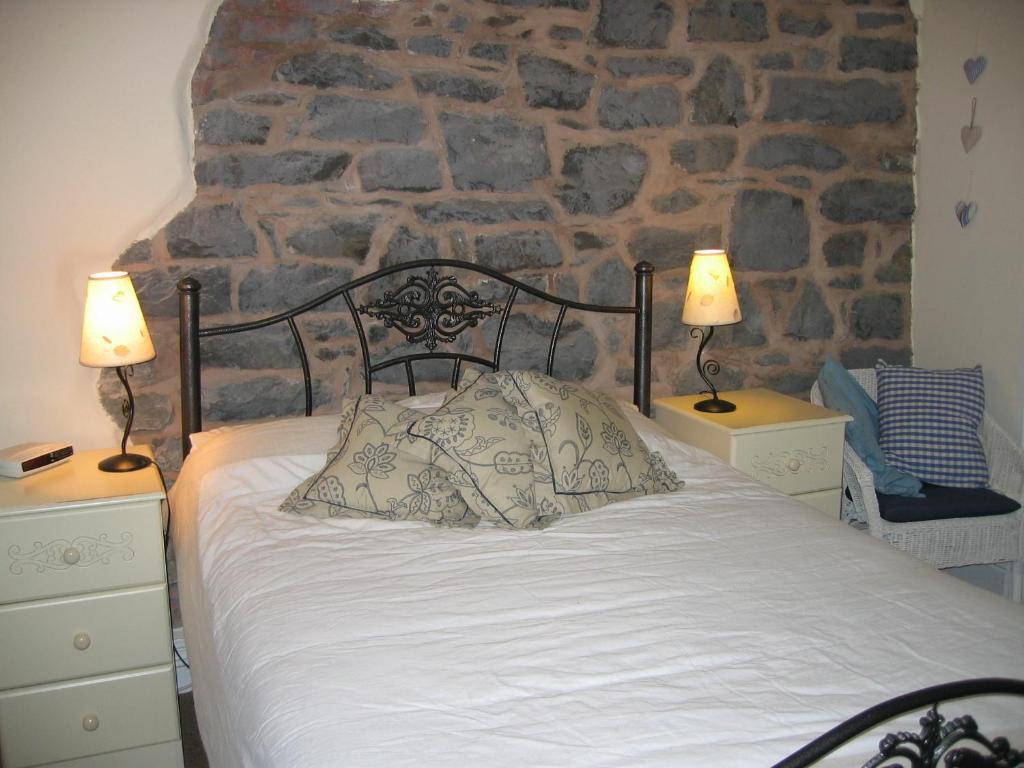 The Horseshoe Guesthouse Rhayader Chambre photo